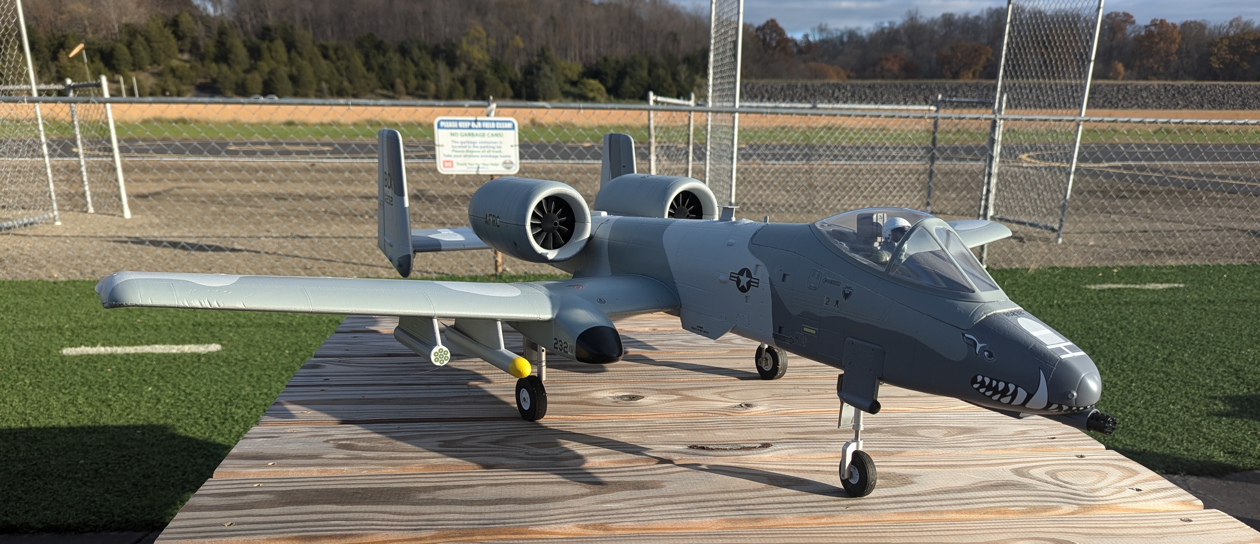 a-10a.jpg